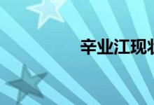 辛业江现状况（辛业江）