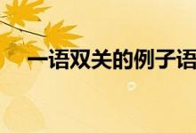 一语双关的例子语文（一语双关的例子）