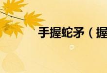 手握蛇矛（握蛇骑虎打一生肖）