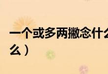 一个或多两撇念什么意思（一个或多两撇念什么）