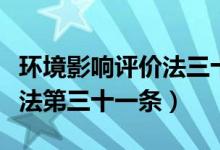 环境影响评价法三十一条规定（环境影响评价法第三十一条）