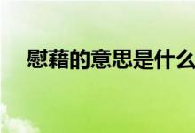 慰藉的意思是什么四年级（慰藉的意思）