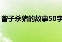 曾子杀猪的故事50字概括（曾子杀猪的故事）
