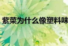 紫菜为什么像塑料味道（紫菜为什么像塑料）