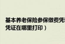 基本养老保险参保缴费凭证怎么开（基本养老保险参保缴费凭证在哪里打印）