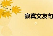 寂寞交友句子（寂寞交友）