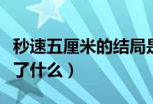 秒速五厘米的结局是什么意思（秒速五厘米讲了什么）