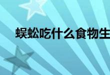 蜈蚣吃什么食物生存（蜈蚣吃什么食物）