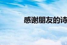 感谢朋友的诗句（朋友的诗句）