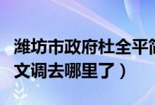 潍坊市政府杜全平简历（潍坊市市委书记杜昌文调去哪里了）