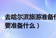 去哈尔滨旅游准备什么东西（去哈尔滨旅游需要准备什么）