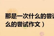 那是一次什么的尝试作文300字（那是一次什么的尝试作文）