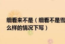 细看来不是（细看不是雪无香 天风吹得香零落 作者是在什么样的情况下写）