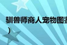 驯兽师商人宠物图鉴（驯兽师商人灵兽进化表）