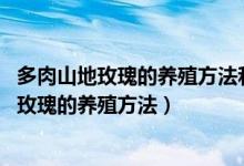多肉山地玫瑰的养殖方法和注意事项（山地玫瑰怎么养 山地玫瑰的养殖方法）