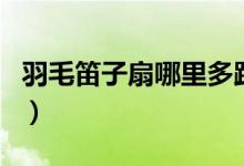 羽毛笛子扇哪里多跑跑车（羽毛笛子扇哪里多）