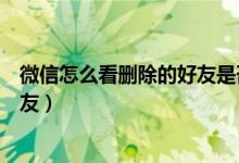 微信怎么看删除的好友是否把你拉黑（微信怎么看删除的好友）