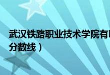 武汉铁路职业技术学院有哪些专业（武汉铁路职业技术学院分数线）