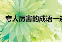 夸人厉害的成语一连串（夸人厉害的成语）