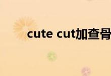 cute cut加查骨骼软件（cute cut）