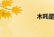 木吒是谁（木吒）