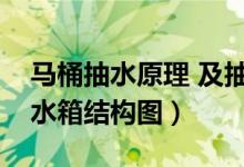 马桶抽水原理 及抽水马桶水箱结构图（马桶水箱结构图）