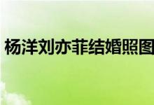 杨洋刘亦菲结婚照图片（杨洋刘亦菲结婚照）