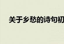 关于乡愁的诗句初中（关于乡愁的诗句）