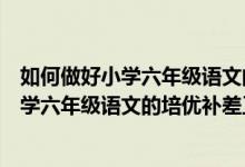 如何做好小学六年级语文的培优补差工作总结（如何做好小学六年级语文的培优补差工作）