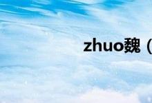 zhuo魏（魏旋君丈夫）