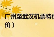 广州至武汉机票特价机票（广州至武汉飞机票价）