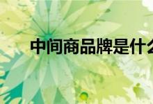 中间商品牌是什么意思（中间商品牌）