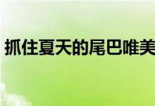 抓住夏天的尾巴唯美句子（抓住夏天的尾巴）