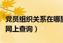 党员组织关系在哪里可以查询（党员组织关系网上查询）