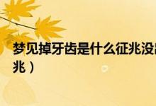 梦见掉牙齿是什么征兆没出血也不疼（梦见掉牙齿是什么征兆）