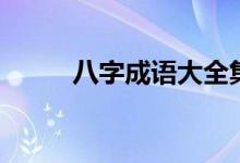 八字成语大全集(八字成语大全)