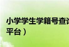小学学生学籍号查询学籍号(小学学籍号查询平台)