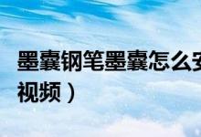 墨囊钢笔墨囊怎么安装（墨囊钢笔怎么装墨囊视频）