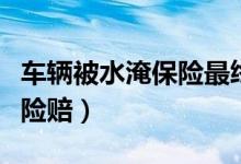 车辆被水淹保险最终陪多少钱（汽车被水淹保险赔）
