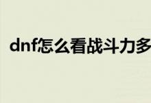 dnf怎么看战斗力多少（dnf怎么看战斗力）