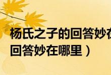杨氏之子的回答妙在哪里有两点（杨氏之子的回答妙在哪里）