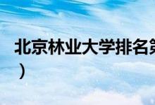 北京林业大学排名第几名（北京林业大学排名）