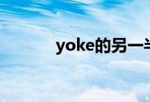 yoke的另一半情侣名（yoke）