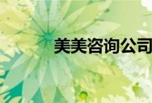 美美咨询公司简介（美美咨询）