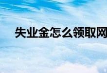 失业金怎么领取网上（失业金怎么领取）