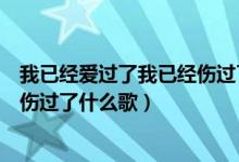 我已经爱过了我已经伤过了什么歌词（我已经爱过了我已经伤过了什么歌）