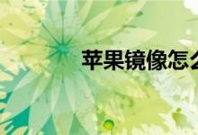 苹果镜像怎么开（苹果镜像）