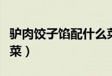驴肉饺子馅配什么菜好吃(驴肉饺子馅配什么菜)