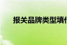报关品牌类型填什么（报关品牌类型）
