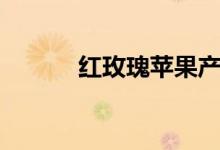 红玫瑰苹果产地（红玫瑰苹果）